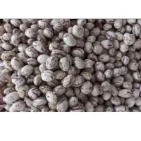 لوبیا چیتی بوجاری شده درجه یک