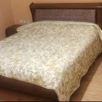 تخت دونفر در حد نو