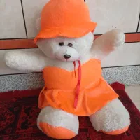 عروسک شاخصین