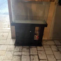 اکواریم‌ شیشه خم