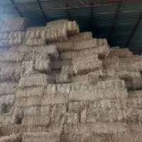 ۲۰ تن کاه پرس گندم