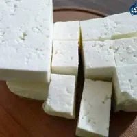 پنیر گوسفندی پنیر گاوی
