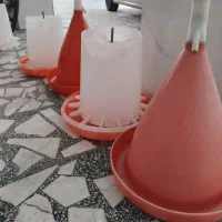 ظرف غذاخوری و آب خوری مرغ وجوجه