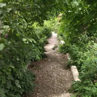 فروش-زمین-کشاورزی