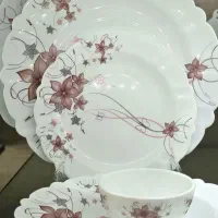 آرکوپال۲۵پارچه وسینی ولیوان واتیکان و کاسه آبگوشت