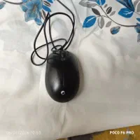 موس مارک بیاند