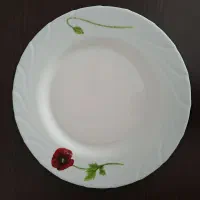 بشقاب پلوخوری آرکوپال