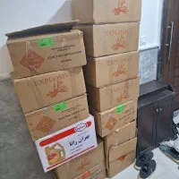 کارتن