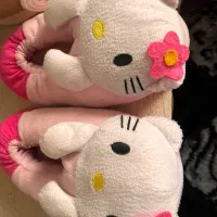 پاپوش