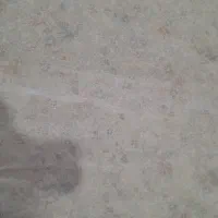 چادرسفید|لباس|بروجرد, |دیوار