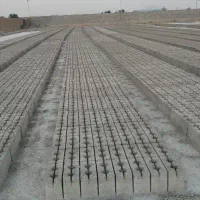 بلوک توپور استخری