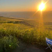 زمین کشاورزی در یاساقلق