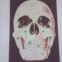 تابلواسکلت