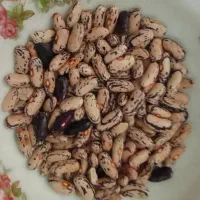 باقالی پاچ