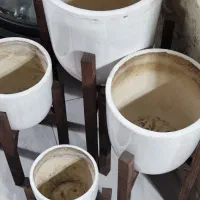 گلدون|گل و گیاه طبیعی|اصفهان, جی شیر|دیوار