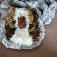 کیف پوست رودوشی