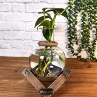 بامبو|گل و گیاه طبیعی|میناب, |دیوار
