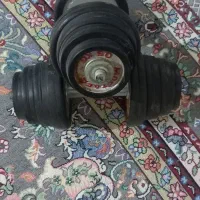 دمبل