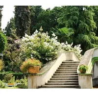 نیازمند نگهبان باغشهری
