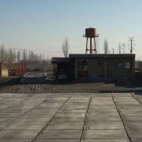 متصدی باسکول