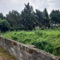 زمین مسکونی/ ویوی جنگل / چلک / متری ۷۵ میلیون