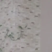 نیاز مند همخونه