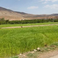 فروش زمین باغی سعادت شهر
