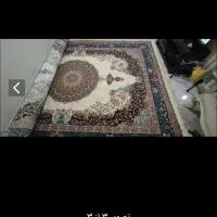 فرش دستبافت گونه نو نو