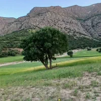 طبیعتگردی