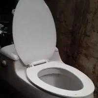 توالت فرنگی در حد نو