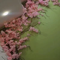 درختچه شکوفه صورتی
