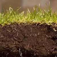 فروش خاک نباتی مرغوب و باغی با کیفیت بالا