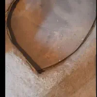 ساج نون