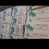 فروش خرما خنیزی و مصلی