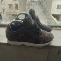 مقطوع|کیف، کفش، کمربند|رباط‌کریم, رباط‌کریم|دیوار