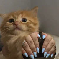 کاشت ناخن بم تخصصی اموزش کاشت ناخن