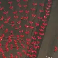 مجلسی