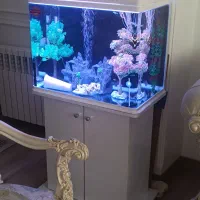آکواریوم با کمد وماهی
