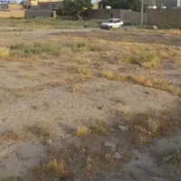 زمین شایه