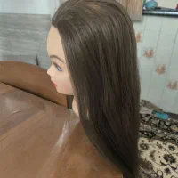 مانکن شنیون