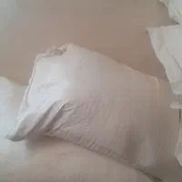 آرد گندم