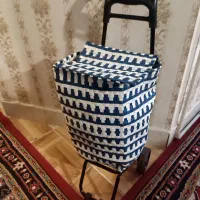 سبد چرخ دار برای خرید.