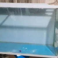 آکواریوم شیشه خم