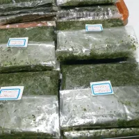 سبزی قلیه گشنیز تازه خوش عطر