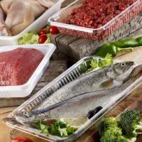 فروش عمده ی ظروف یکبار مصرف و پروتئینی