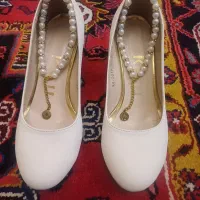 کفش مجلسی