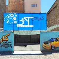 نیروی ماهر کارواش
