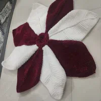 پادری