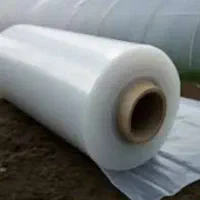 پلاستیک روغن قیمت عمده