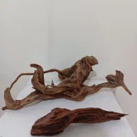 چوب آکواریوم آبنوس